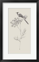 Nature with Bird IV Framed Print