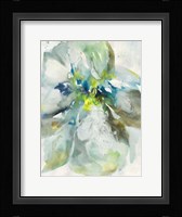 Maybe Petunias I Framed Print