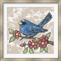 Sweet Bird III Fine Art Print