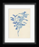 Verditer Fig II Framed Print