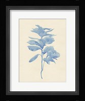 Verditer Fig III Framed Print