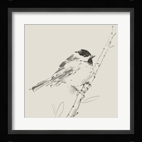 Black Capped Chickadee I Framed Print