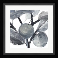 Rustic Vine I Framed Print