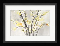 Blissful Elegance II Framed Print