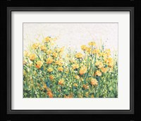 Garden in Bloom III Framed Print
