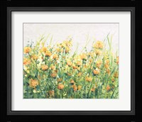 Garden in Bloom IV Framed Print
