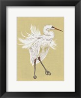 Heron Plumage V Fine Art Print