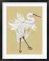Heron Plumage V Fine Art Print