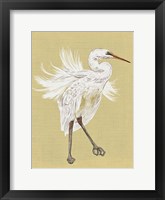 Heron Plumage V Framed Print