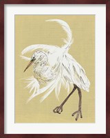 Heron Plumage VI Fine Art Print