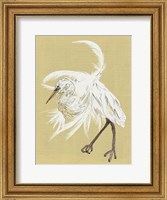 Heron Plumage VI Fine Art Print
