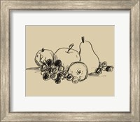 Graphite Fruit I Fine Art Print