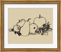 Graphite Fruit II Fine Art Print