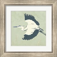Heron Flying II Fine Art Print