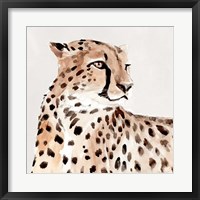 Saharan Cheetah I Fine Art Print