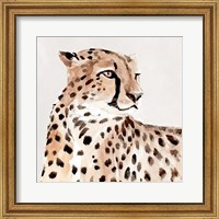 Saharan Cheetah I Fine Art Print