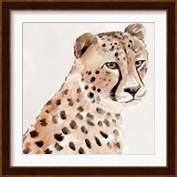 Saharan Cheetah II Fine Art Print
