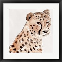 Saharan Cheetah II Framed Print