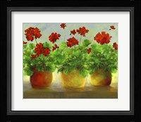 Geraniums III Fine Art Print