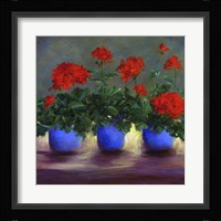 Geraniums V Fine Art Print