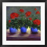 Geraniums V Fine Art Print