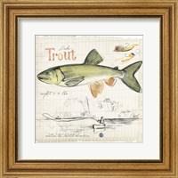 Trout Journal III Fine Art Print