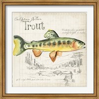 Trout Journal IV Fine Art Print