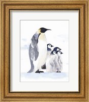 Emperor Penguins I Fine Art Print