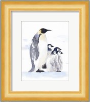 Emperor Penguins I Fine Art Print