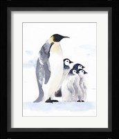Emperor Penguins I Framed Print