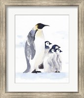 Emperor Penguins I Fine Art Print