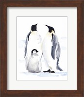 Emperor Penguins II Fine Art Print