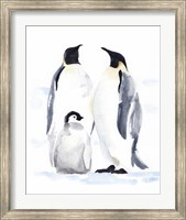Emperor Penguins II Fine Art Print