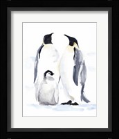 Emperor Penguins II Framed Print