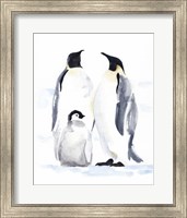 Emperor Penguins II Fine Art Print