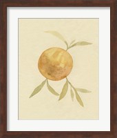Dappled Oranges II Fine Art Print