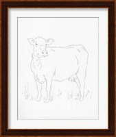 Limousin Cattle II Fine Art Print