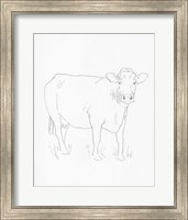 Limousin Cattle III Fine Art Print