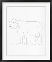 Limousin Cattle IV Fine Art Print