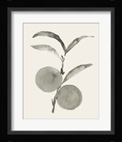 Twilight Oranges I Framed Print