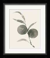 Twilight Oranges II Framed Print