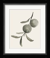 Twilight Oranges IV Framed Print