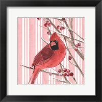 Winter Cardinal I Fine Art Print
