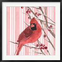Winter Cardinal I Fine Art Print