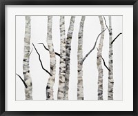 Birch Trees II Fine Art Print