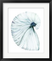 Eye of the Ocean II Framed Print