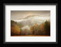 Photography Study Autumn Mist Fine Art Print