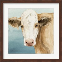 Hereford Stare II Fine Art Print