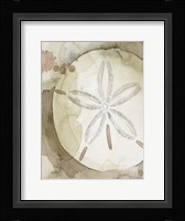 Dry Sand Dollar II Framed Print