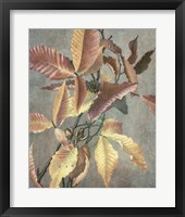Ancient Autumn I Fine Art Print